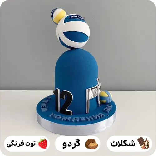 کیک تولد والیبالی
