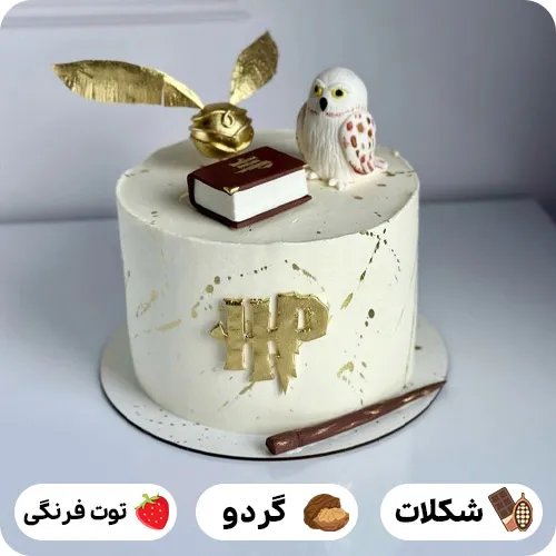 عکس کیک هری پاتر