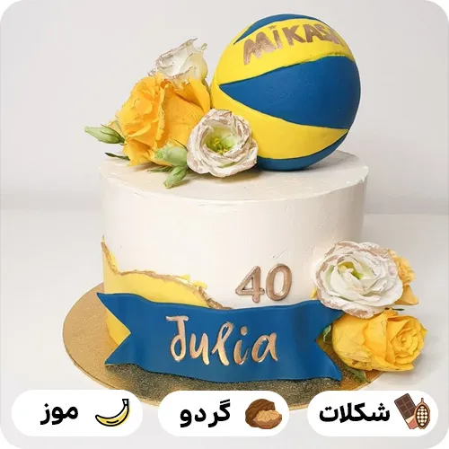 کیک تولد والیبالی ساده