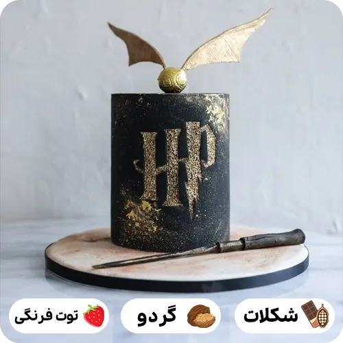 عکس کیک تولد هری پاتر